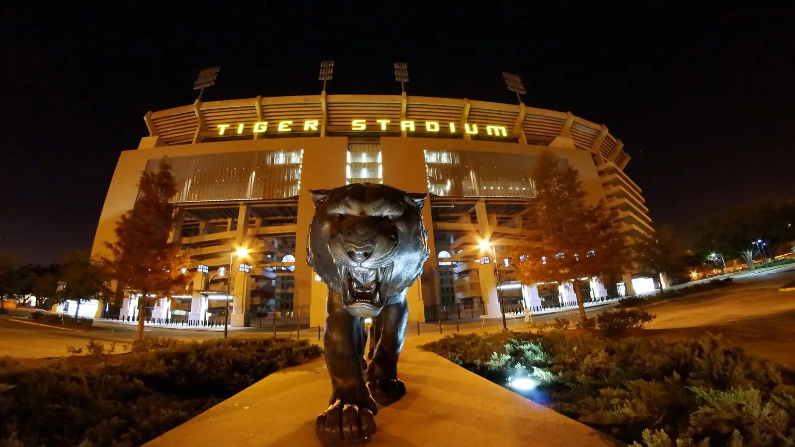 Tiger Stadium at LSU lit up at night, with a bronze tiger statue in the foreground and the words Tiger Stadium glowing across the top of the stadium